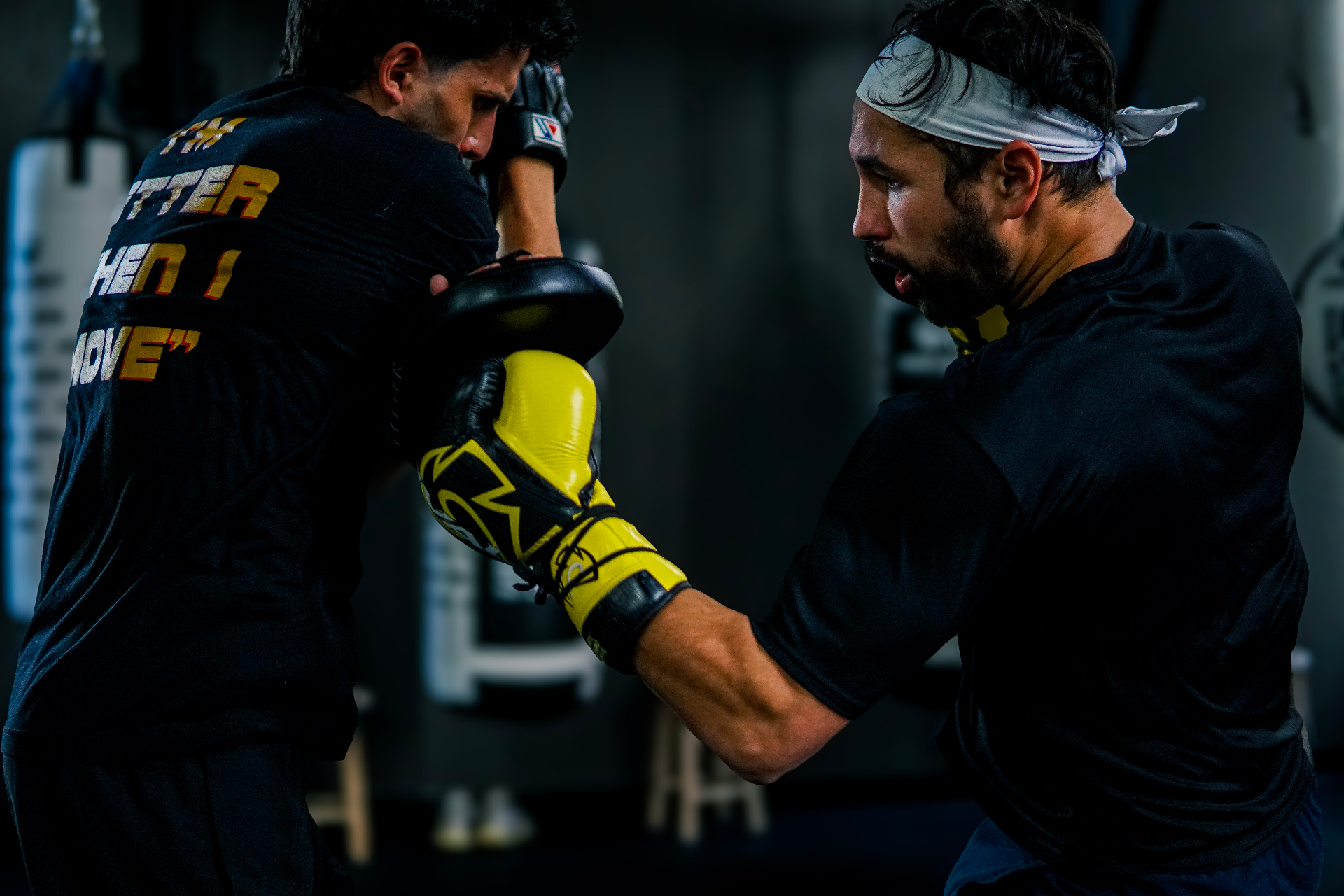 Charlie on the mitts